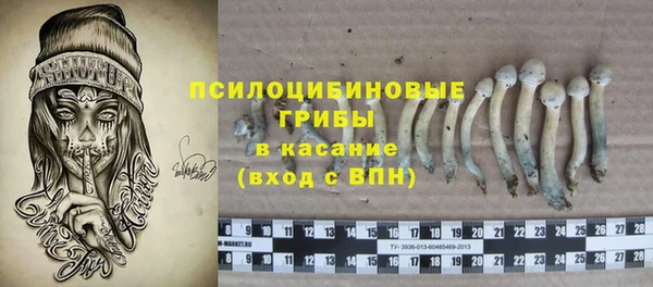 амф Алзамай
