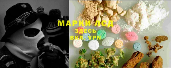 стаф Арсеньев