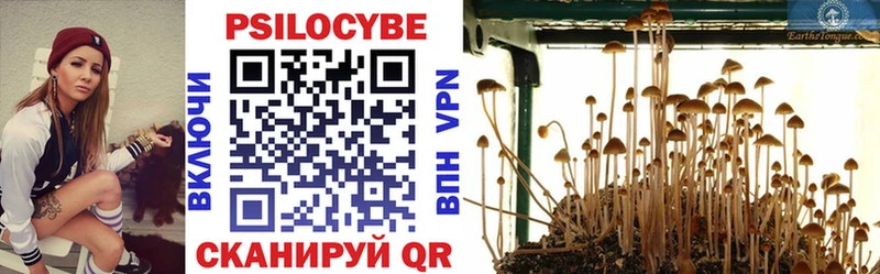 Псилоцибиновые грибы GOLDEN TEACHER  где купить наркотик  Никольск 